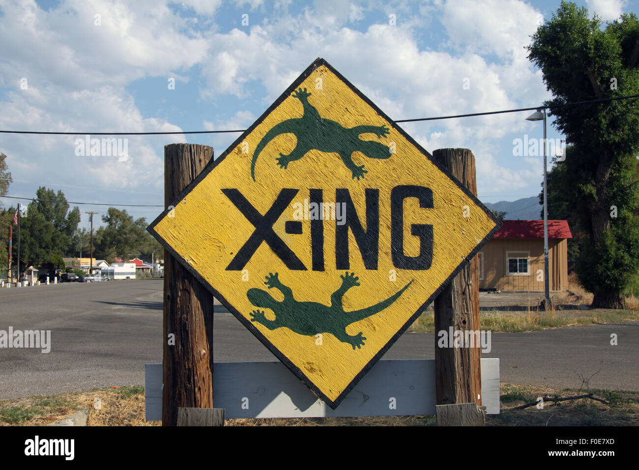 Yellow lizard crossing sign in Doyle, California Stock Photo Alamy