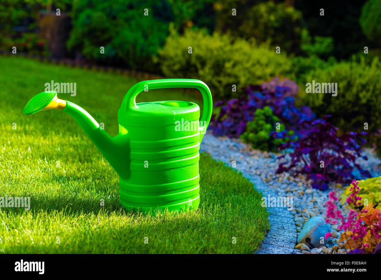 Green Plastic Watering Can in the Rockery Garden Stock Photo