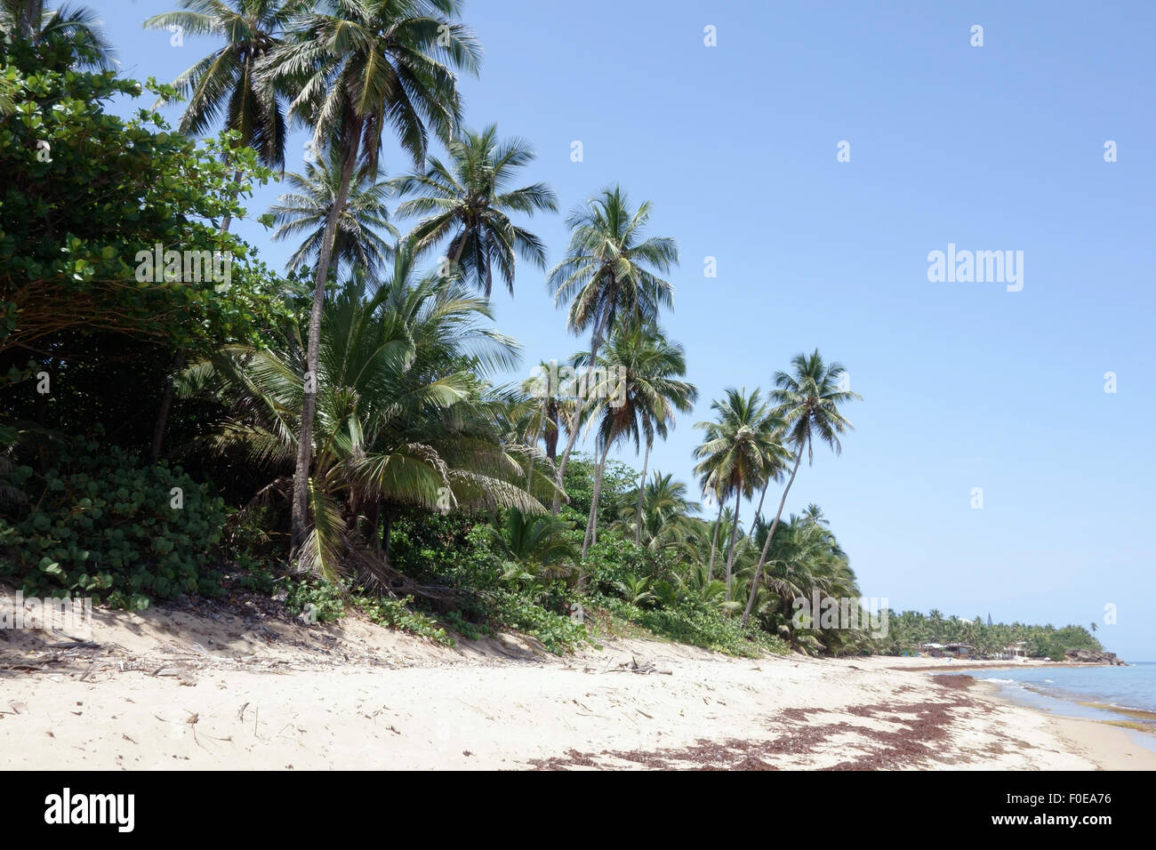 Sandy Beach Puerto Rico Stock Photo Alamy