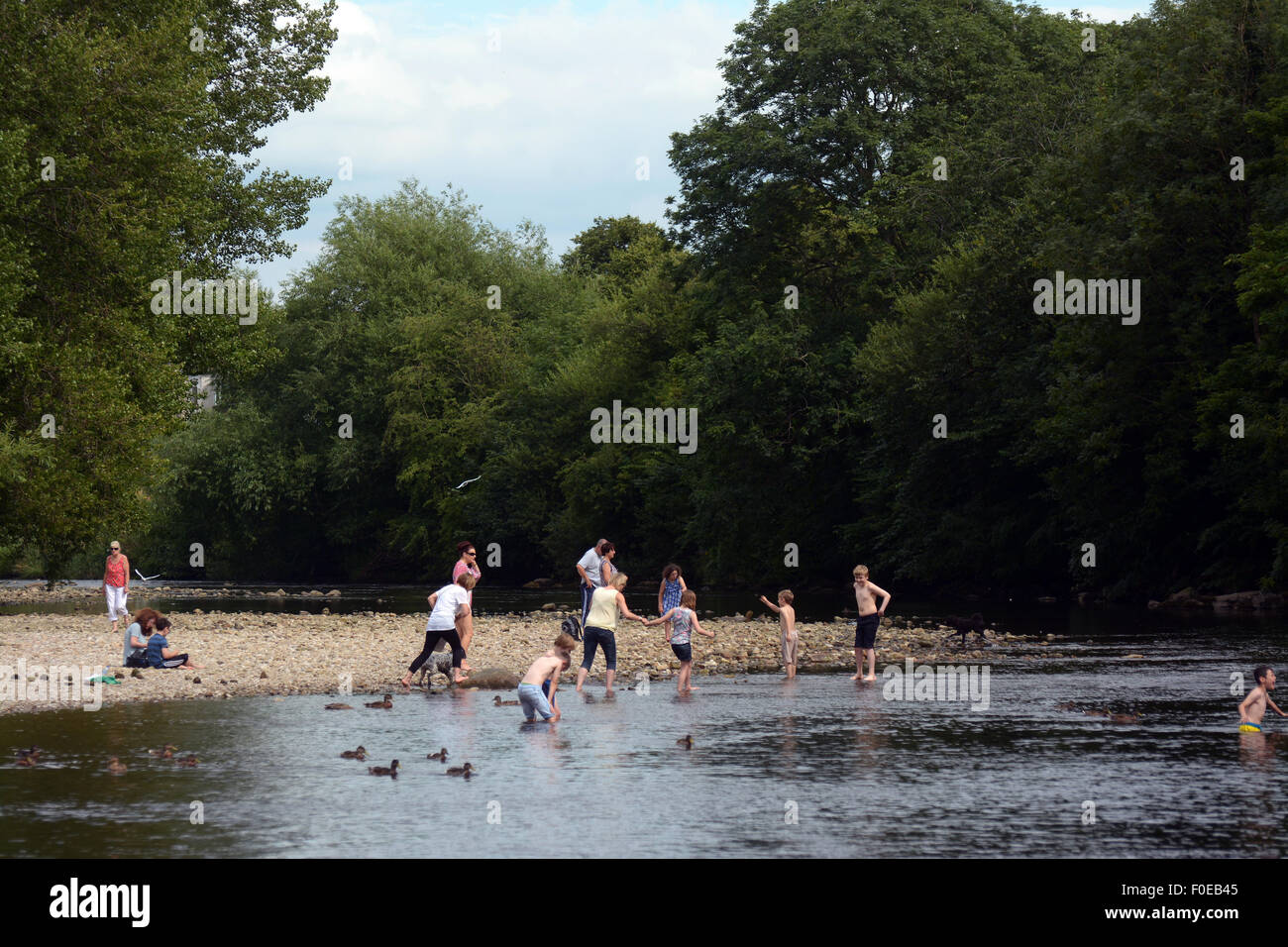 Families paddle and swim in the River Wharfe at Ilkley, West Yorkshire Stock Photo Alamy