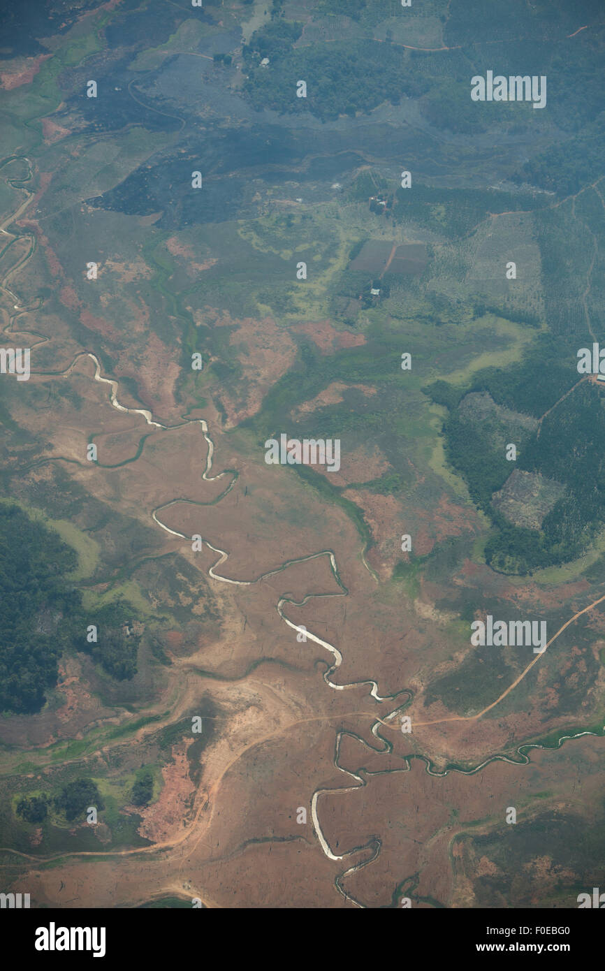 Aerial view of the forest and the river in Canaima National Park, Venezuela 2015 Stock Photo