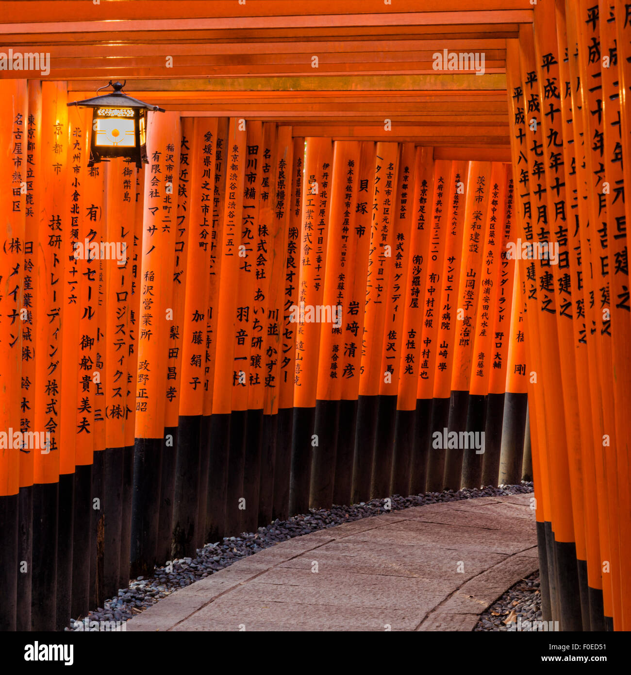 Vermilion Torii Along Pathway In Fushimi Inari Shinto Shrine Near Stock Photo Alamy