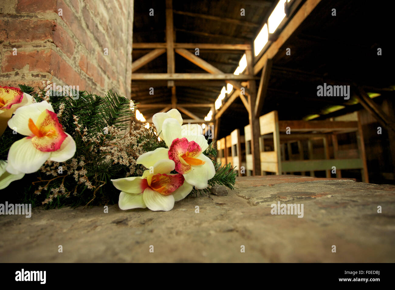 Inside wood houses in Auschwitz Birkenau concentration camp with flowers Stock Photo