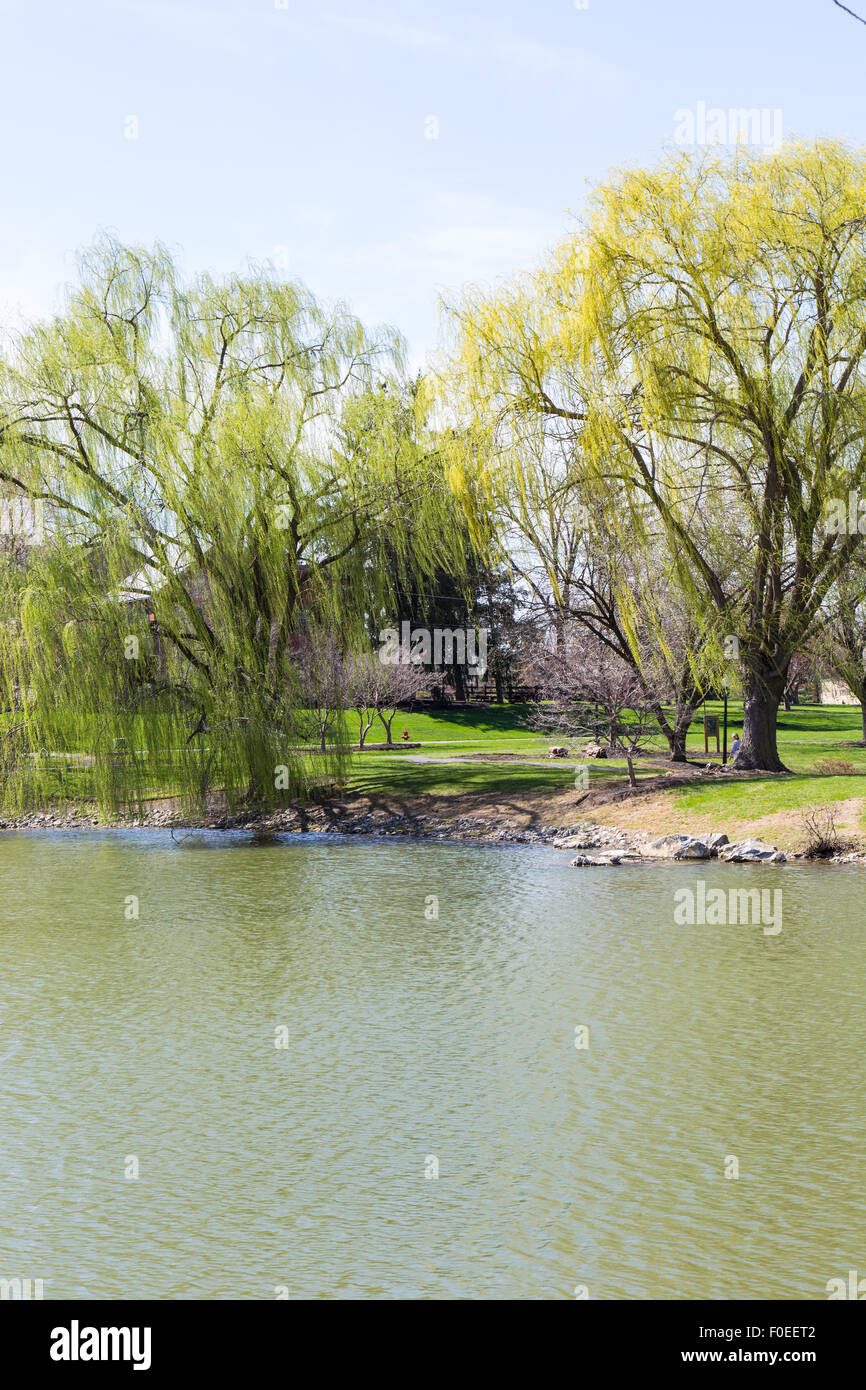 Serene springtime scene at a suburban park known as Greenfield near Lancaster, PA. Stock Photo