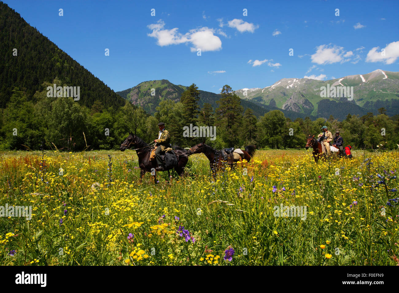 People riding through flower meadows in the Arkhyz valley, the western part of the Teberdinsky Biosphere reserve, Caucasus, Russia, July 2008 (Model released) Stock Photo