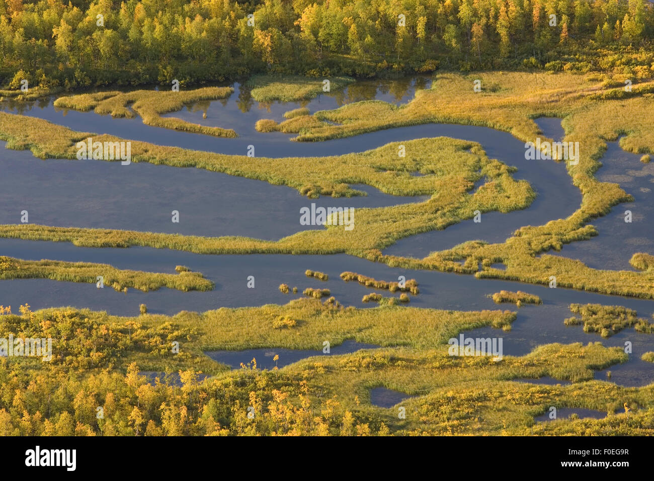 Aerial view over Laitaure delta with Birch (Betula sp) forest, Sarek National Park, Laponia World Heritage Site, Lapland, Sweden, September 2008 Stock Photo