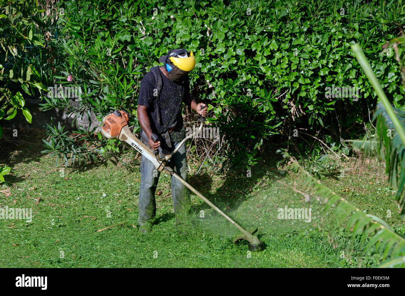 gardener cutting the grass Stock Photo