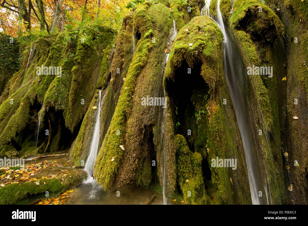 Waterfalls and abundant mosses (Cratoneuron commutatum) and (Bryum ventricosum) growing on the Labudovac barrier, Upper Lakes, Plitvice Lakes National Park, Croatia, October 2008 Stock Photo