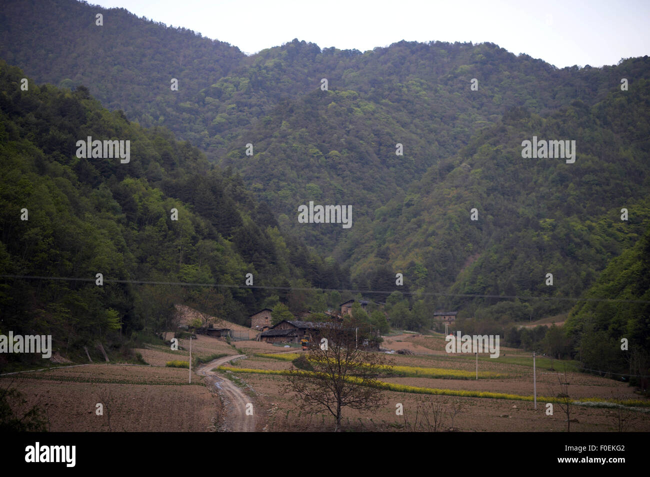 Chongqing, Chongqing, CHN. 6th May, 2015. Chongqing, CHINA - May 6 2015: (EDITORIAL USE ONLY. CHINA OUTï¼‰Grassy paths, farmland surrounded by hedge, Smoke and green forests''¦''¦Villagers live a happy life in wooden houses of Fangdouping Village Gaonan Town. © SIPA Asia/ZUMA Wire/Alamy Live News Stock Photo