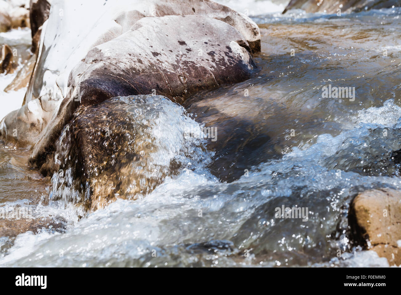mountain river Prut closeup in the Carpathians Stock Photo