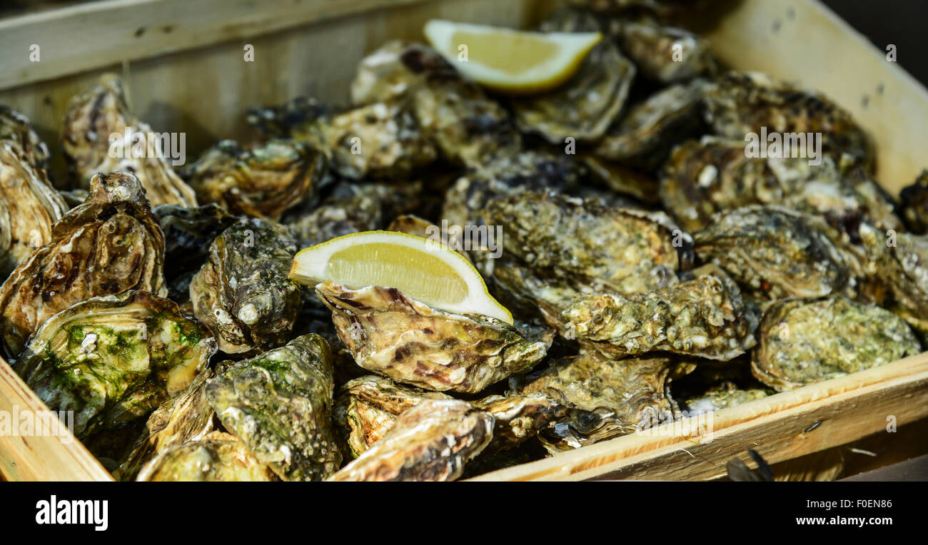 Oysters france hires stock photography and images Alamy