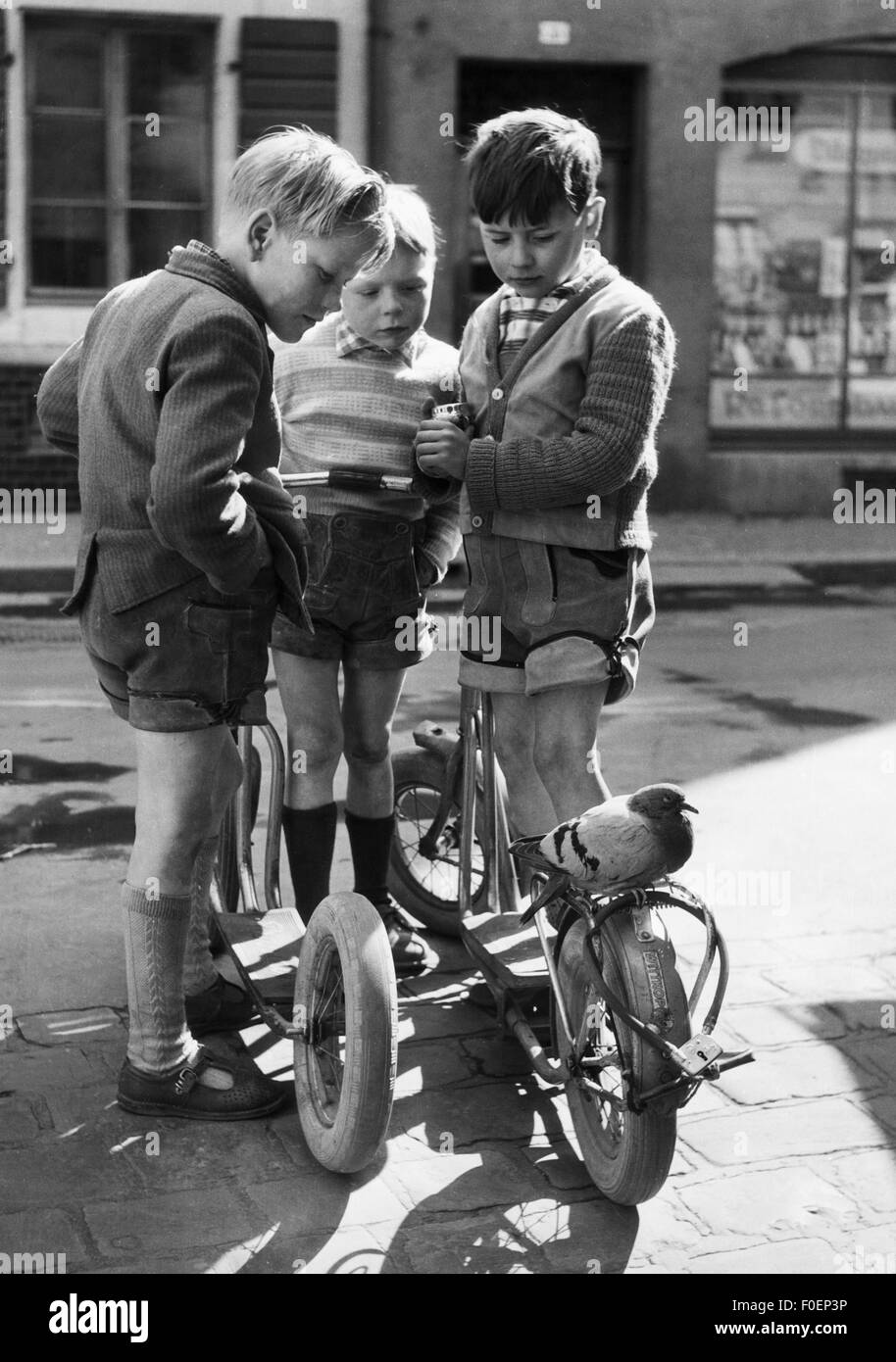 People Children Groups Siblings Boys Three Boys With Scooters people-children-groups-siblings-boys-three-boys-with-scooters