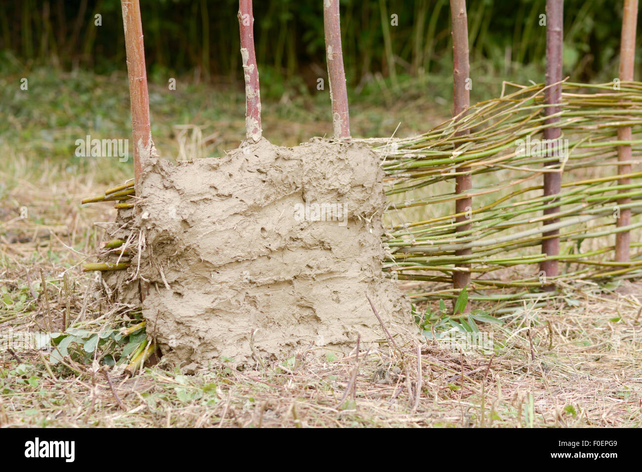Wattle and daub building method Stock Photo Alamy