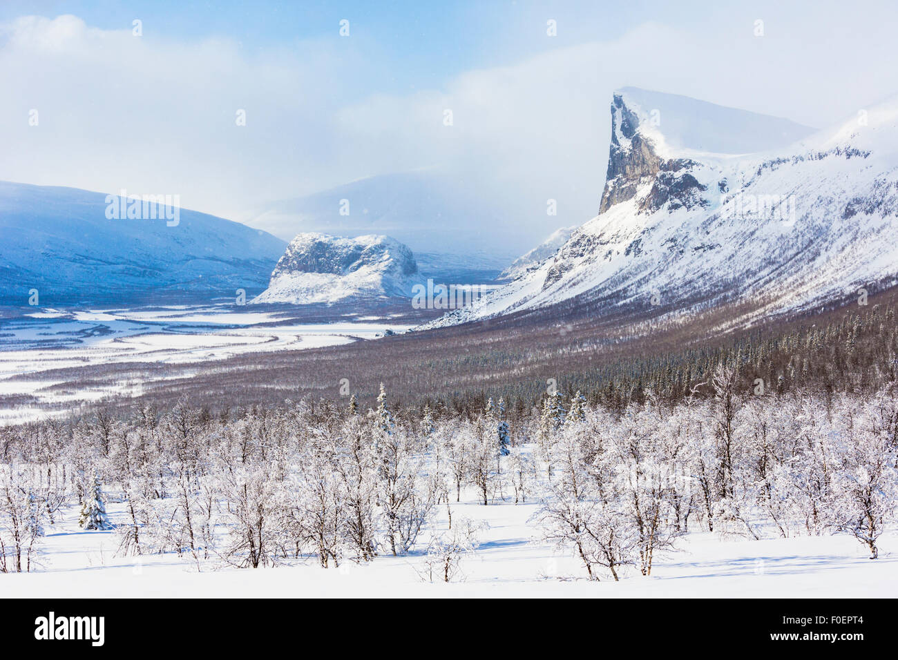 View over Sarek national park with mount Skerfe and mount namatj and Laitaure delta, Snow on the trees and sunny weather, Sarek Stock Photo