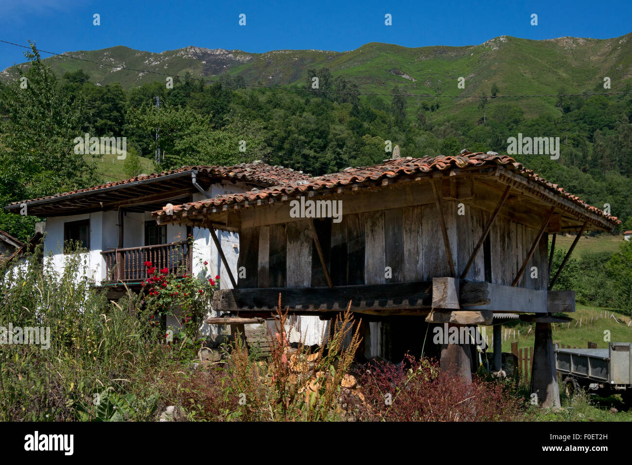 Traditional Granary(horreo) Buildings of rural village in Espinaredo,Asturias,Northern Spain Stock Photo