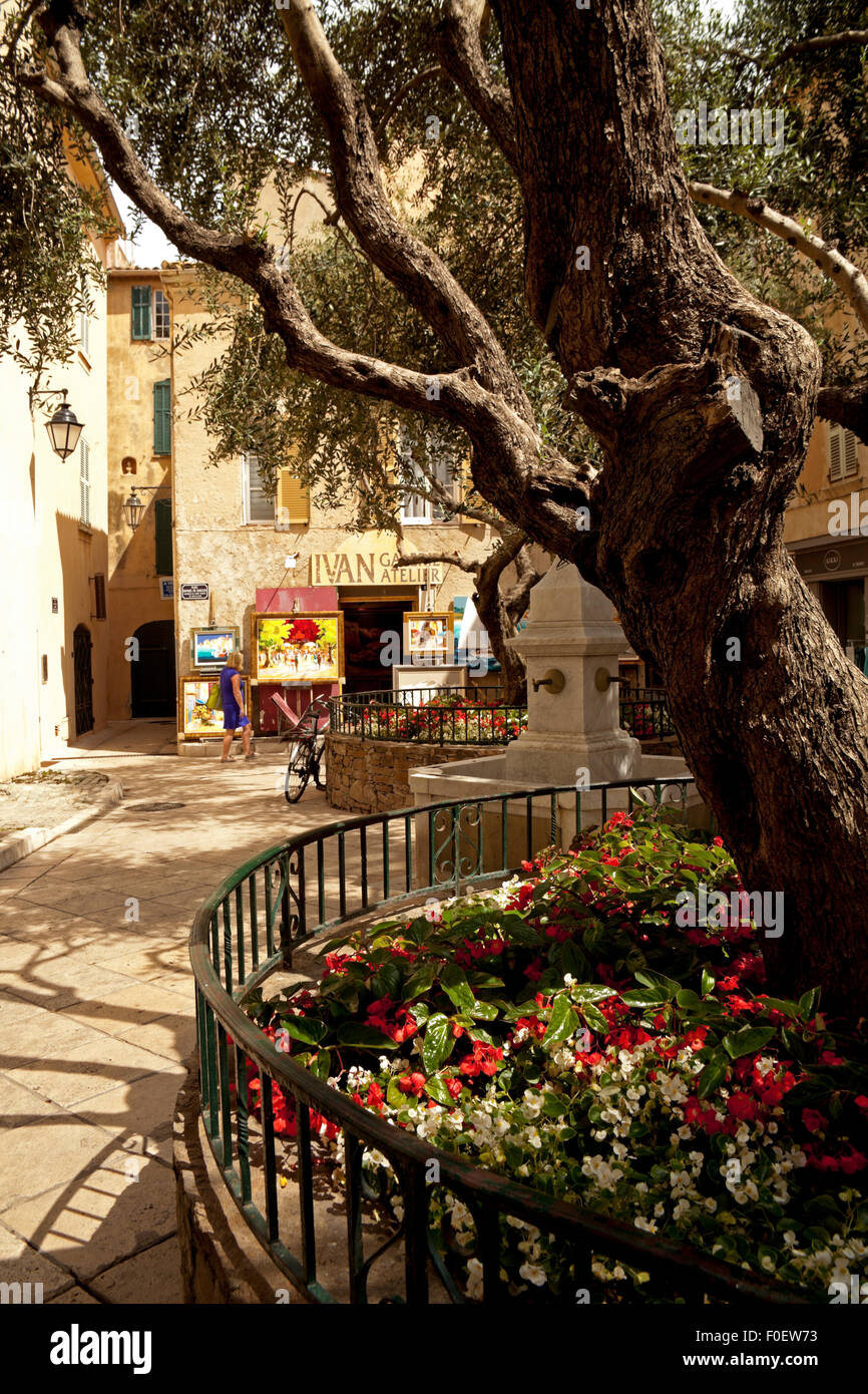 SaintTropez art gallery France Stock Photo Alamy
