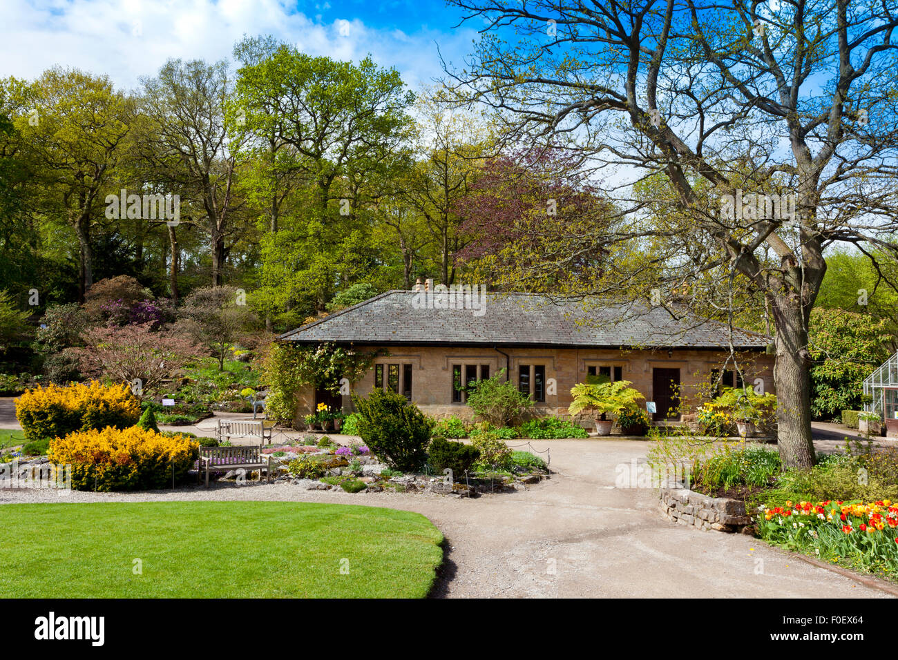 The Old Bath House and spring flowers at Harlow CarrGardens, Harrogate ...