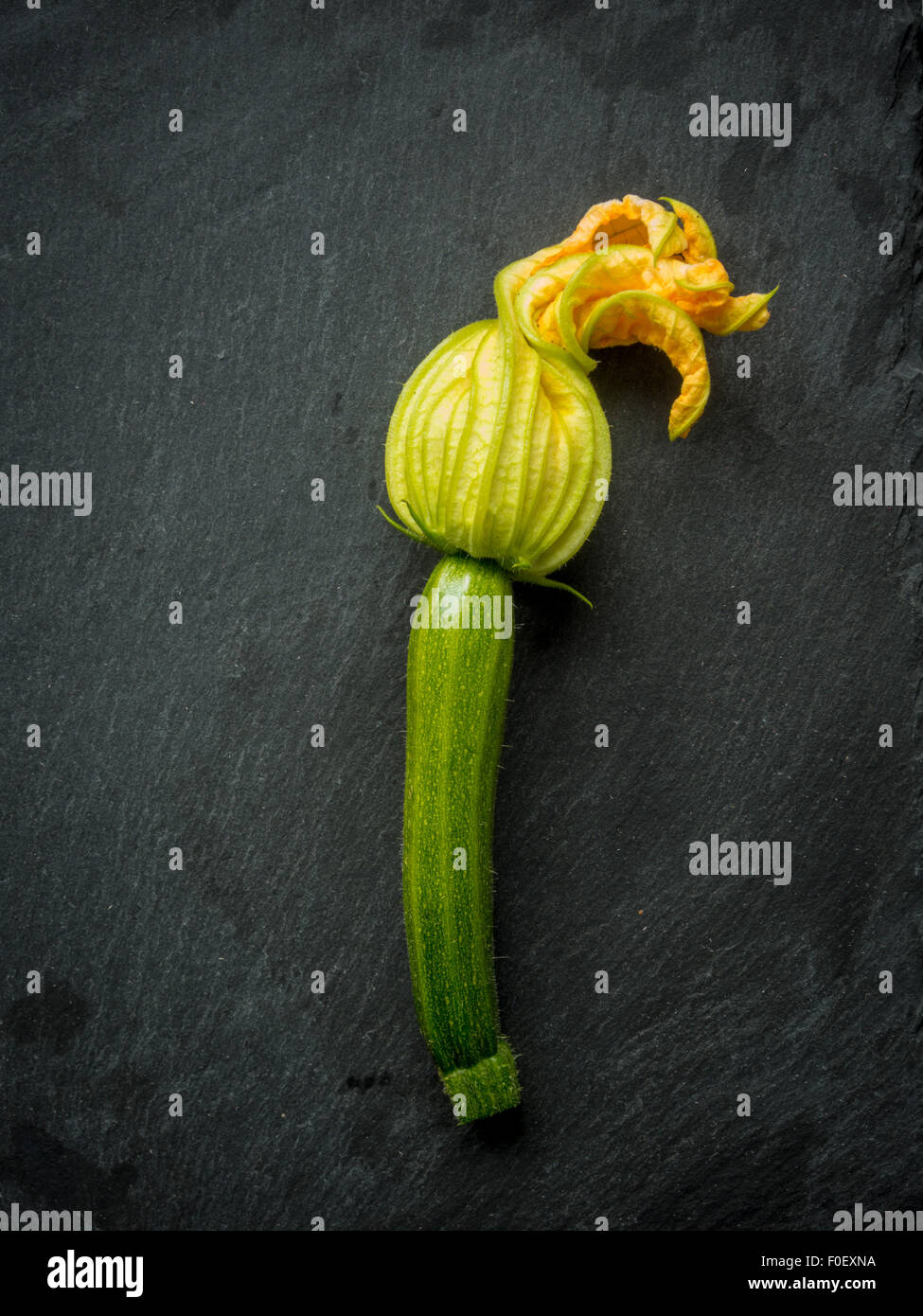 Courgette with flower attached. Stock Photo