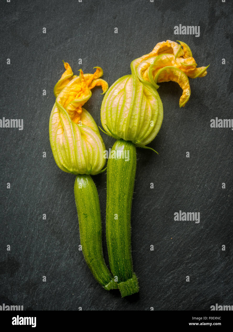 Two courgettes with their flowers still attached Stock Photo Alamy