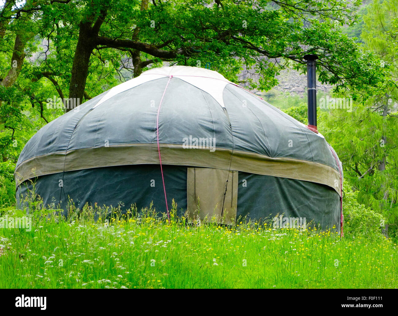 Yurt in Woodland at Borrowdale, Lake District National Park, Cumbria, England, UK in Summer Stock Photo