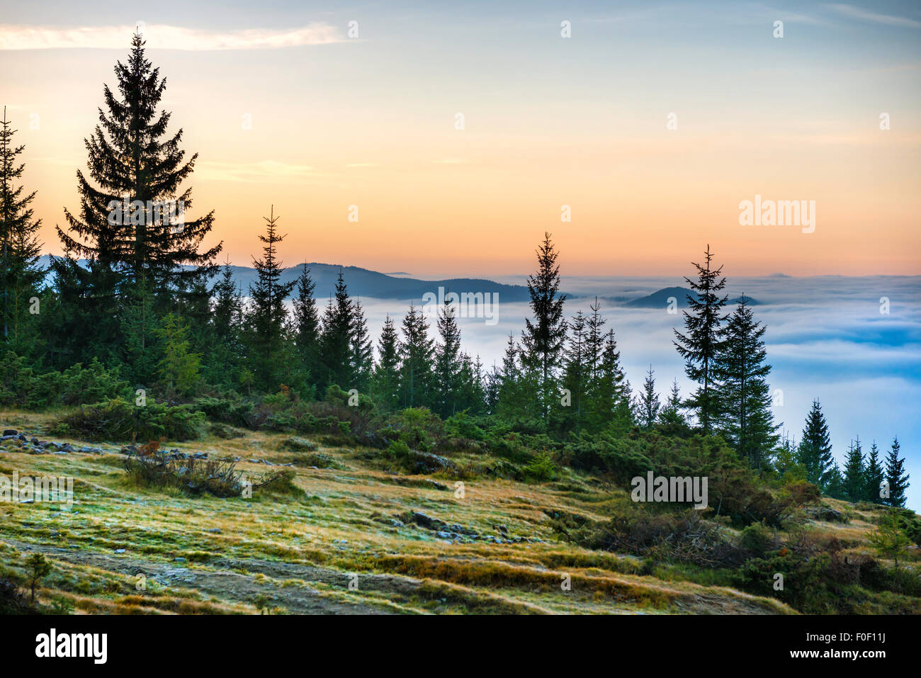 Sunset in the mountains in front of beautiful nature with forest and ...