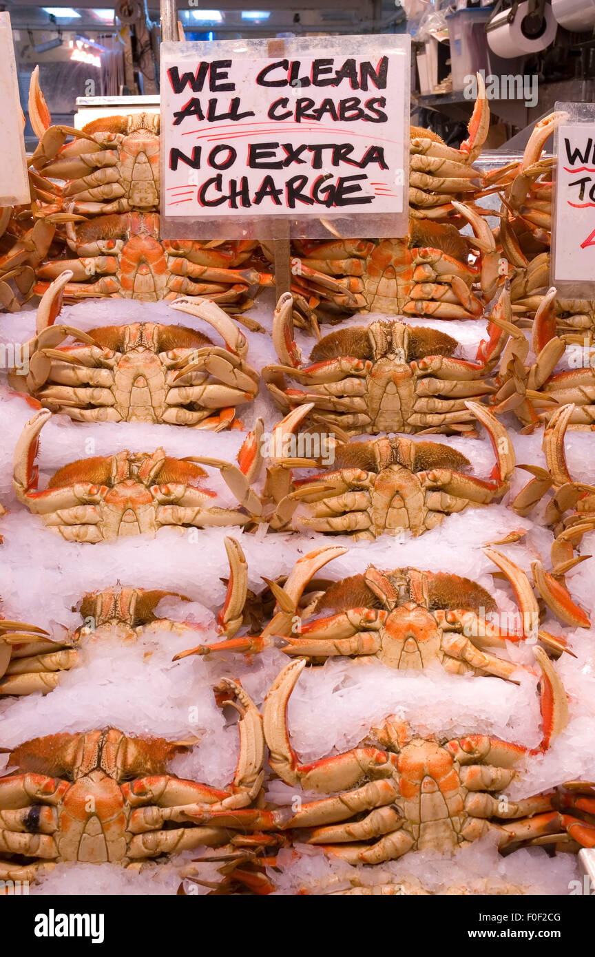 Dungeness crabs at fish market, Pike Place Market, Seattle, Washington