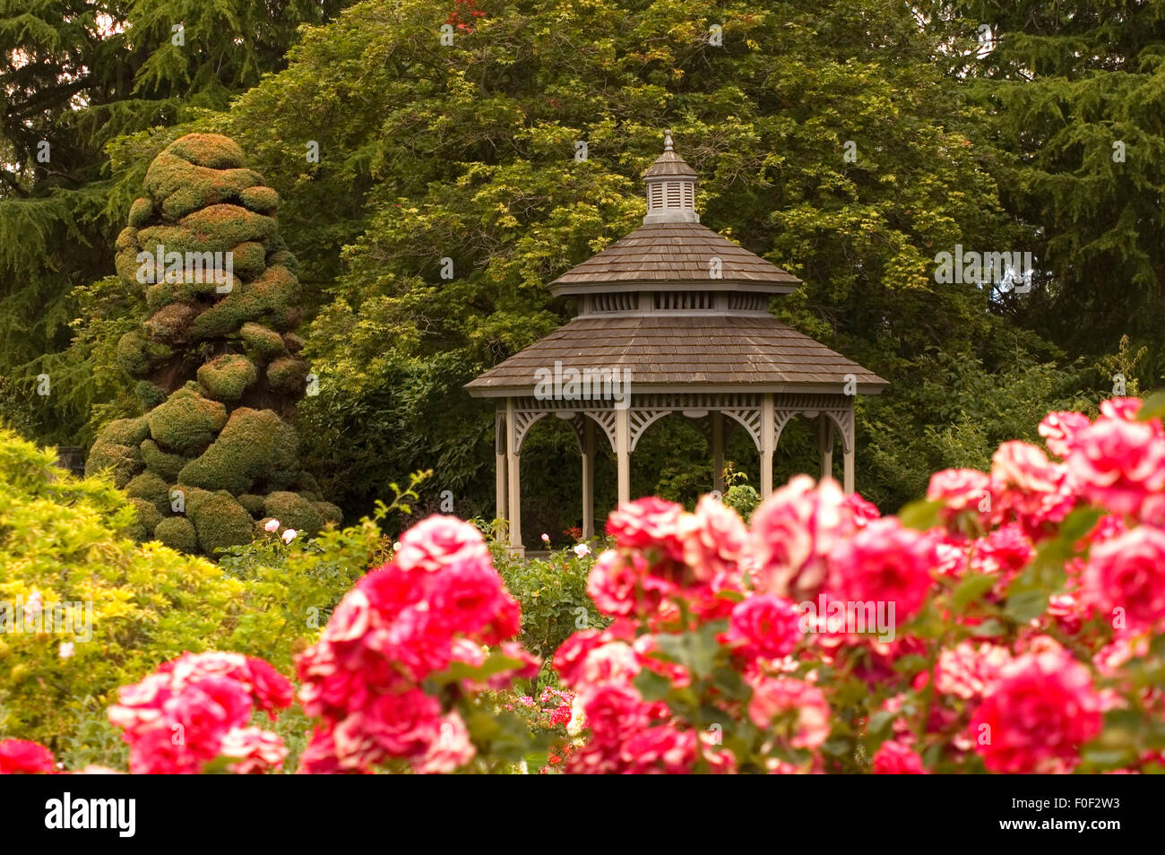 Rose Garden Woodland Park Seattle Washington Stock Photo