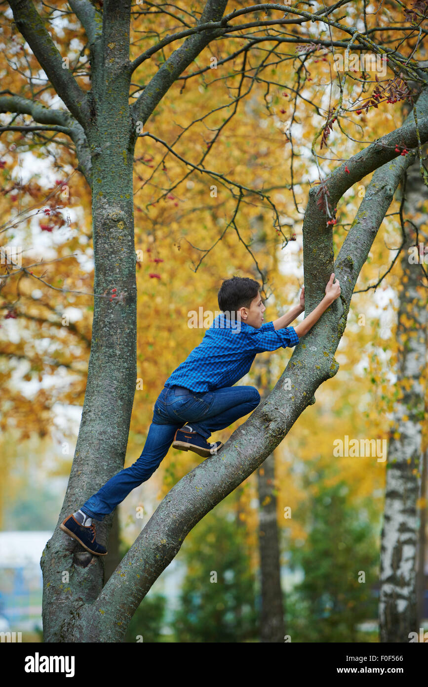 Climbing at the tree hires stock photography and images Alamy