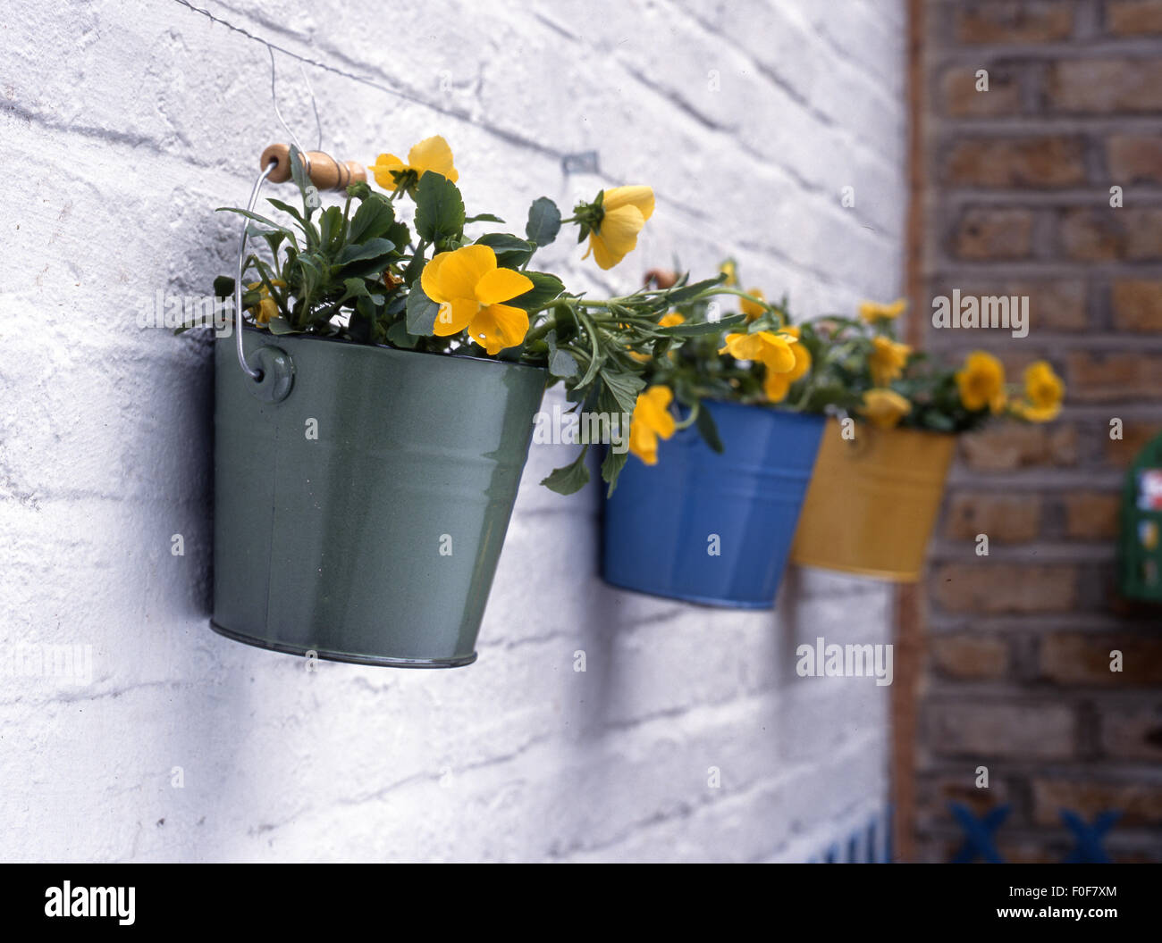 https://c8.alamy.com/comp/F0F7XM/metal-painted-flower-buckets-in-greenblue-and-yellow-F0F7XM.jpg