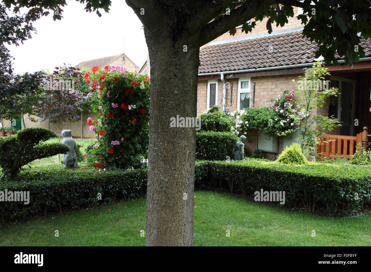 Neat front garden hedge with topiary Stock Photo