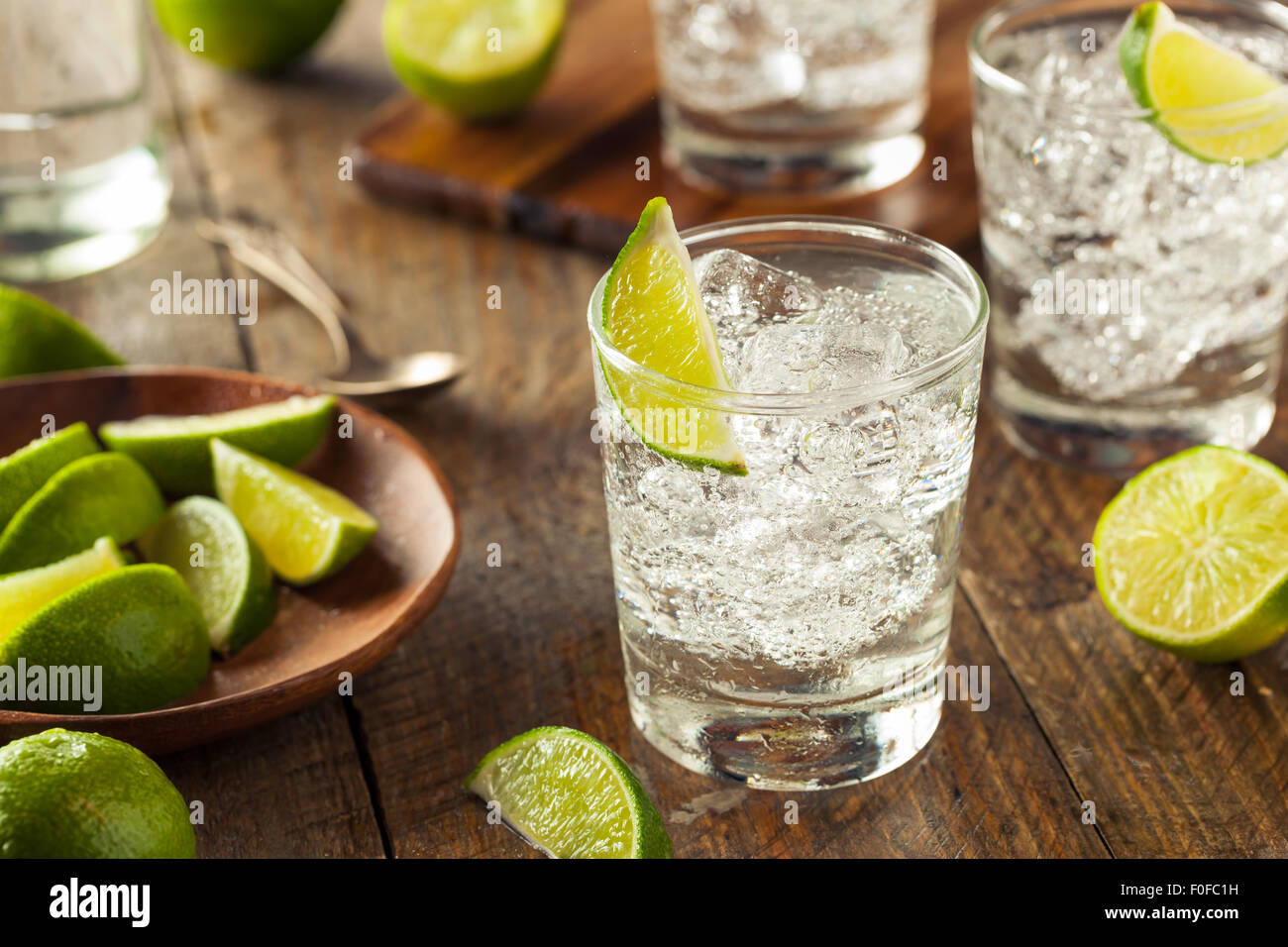 Alcoholic Gin and Tonic with a Lime Garnish Stock Photo
