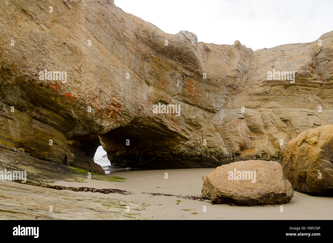 A sea cave at Devil's Punchbowl park, Oregon Coast, USA. Stock Photo