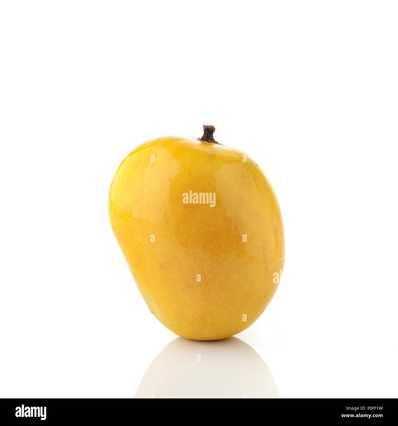 Fresh Yellow Alphonso Mango Shot in Studio On White Background. Stock Photo