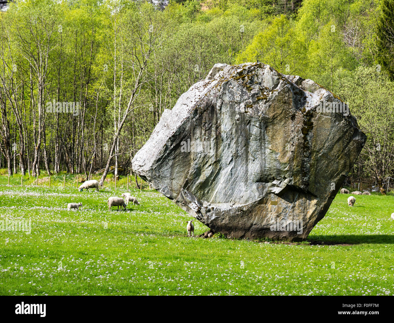 Springald With Rocks Single large rock Oddmundsteinen on farmland, waterfall in the back ...