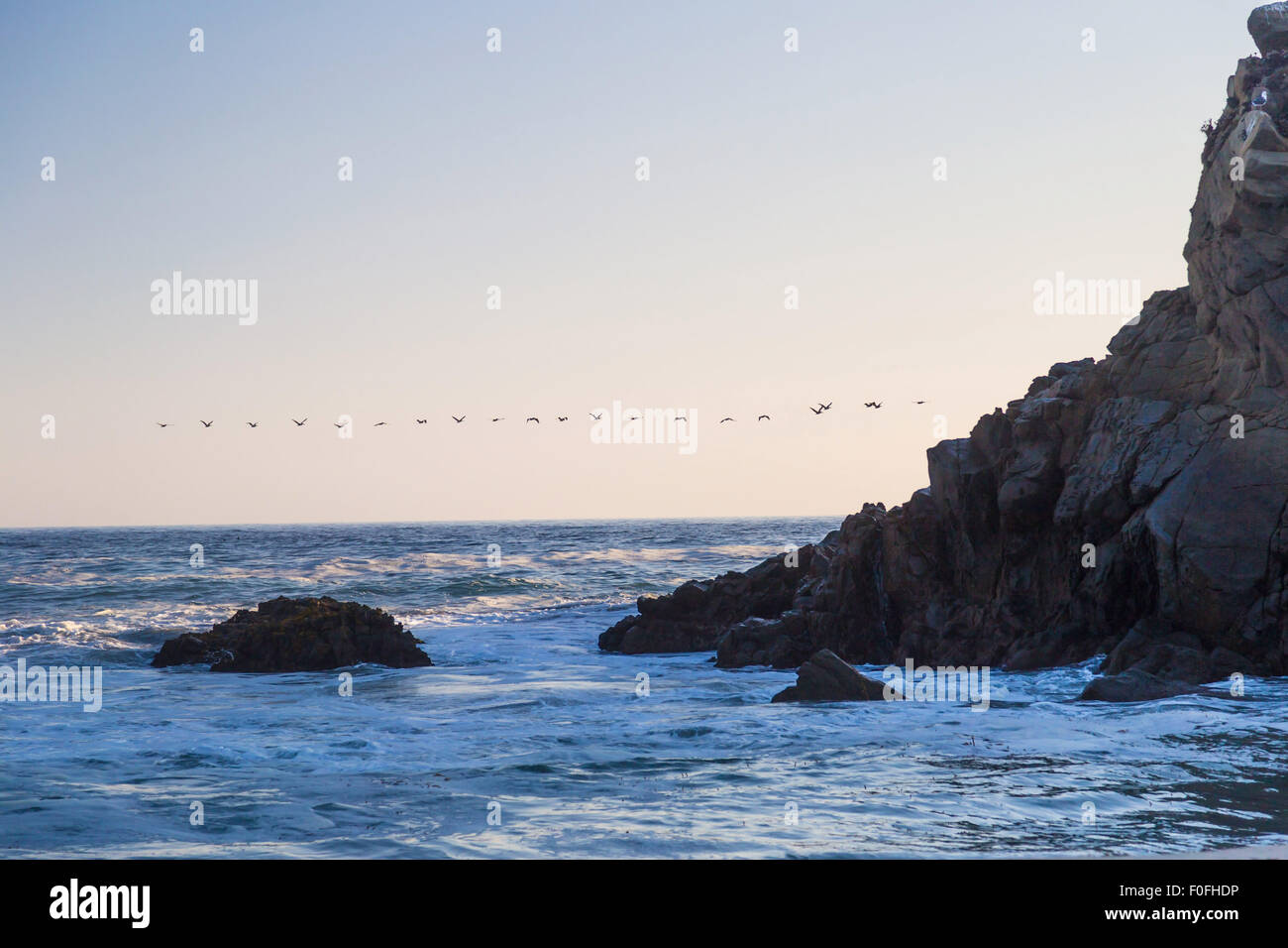 Birds flying over Pfeiffer State Beach at sunset, Big Sur, California Stock Photo