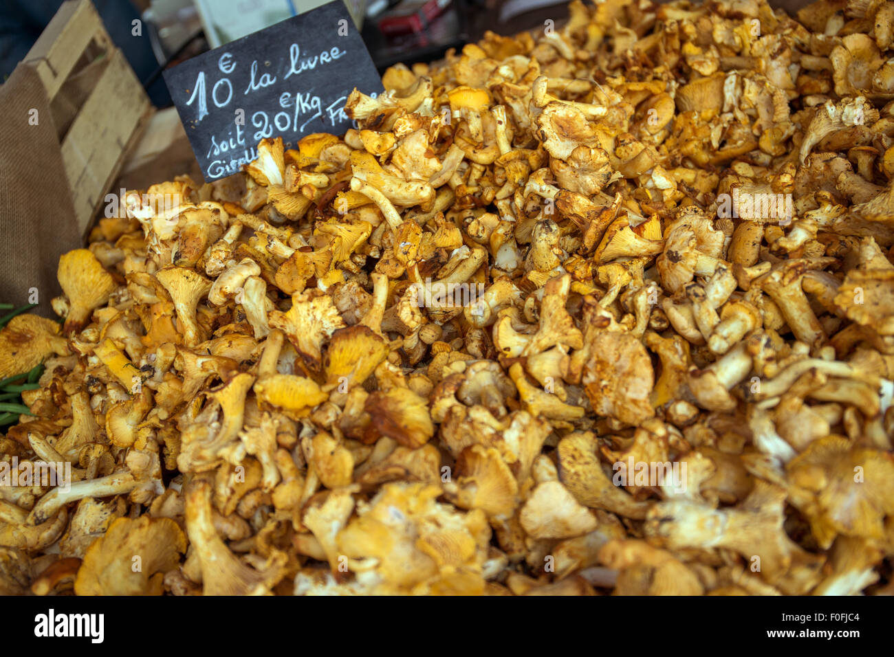 Chanterelles (Cantharellus cibarius) for sale at a farmers market