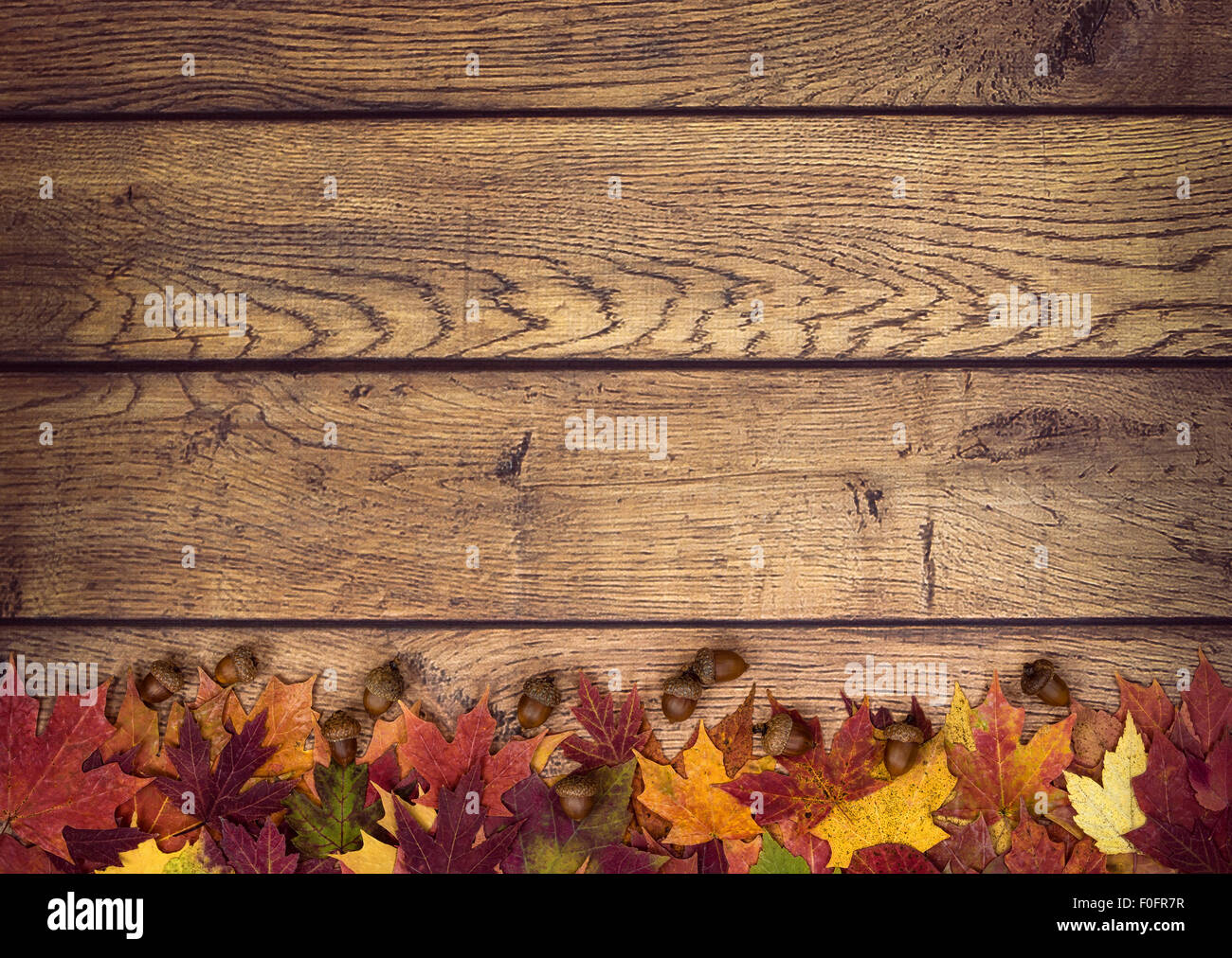 Dried leaves border hi-res stock photography and images - Alamy