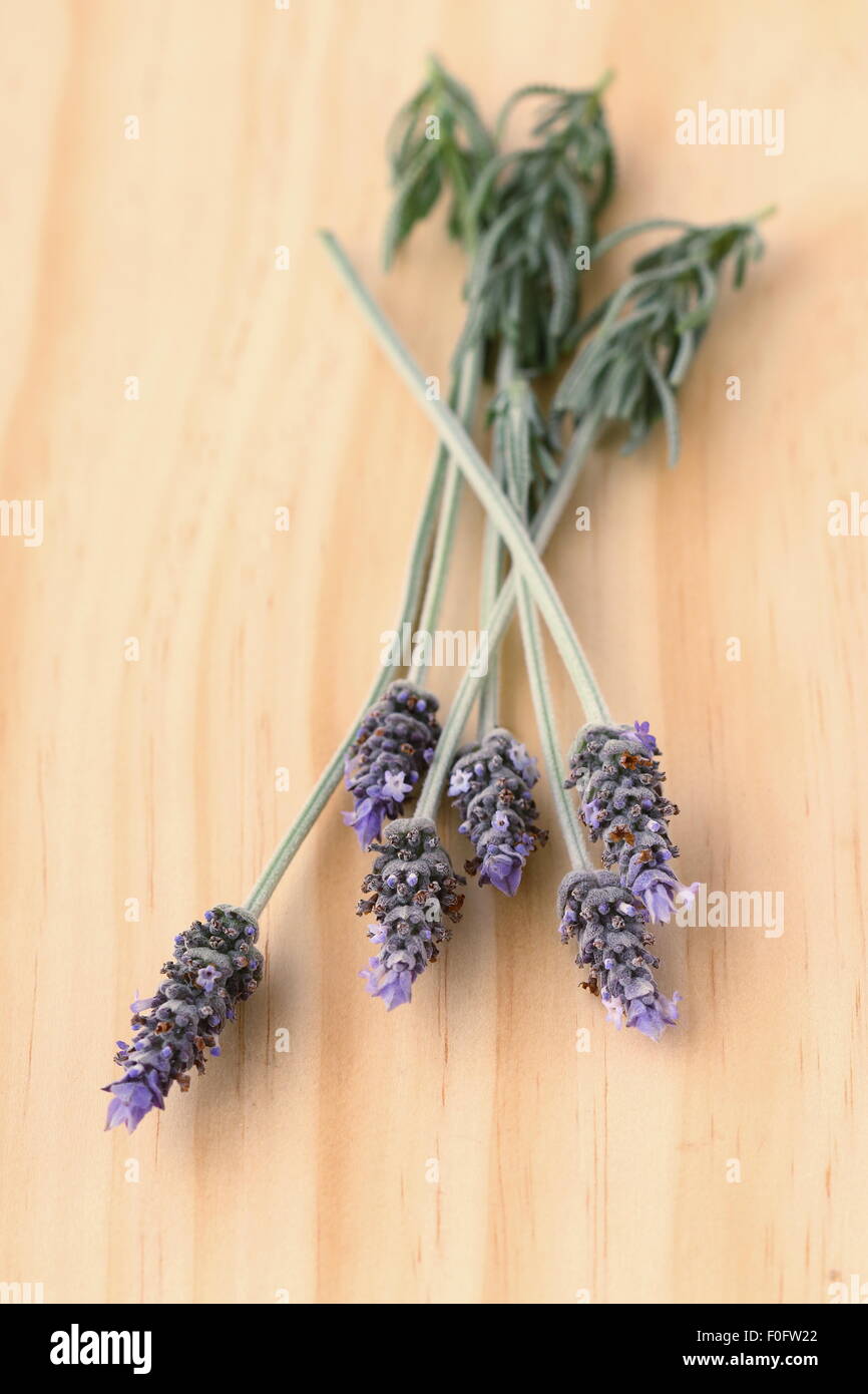 Fresh French Lavender  (Lavandula) on wooden board Stock Photo