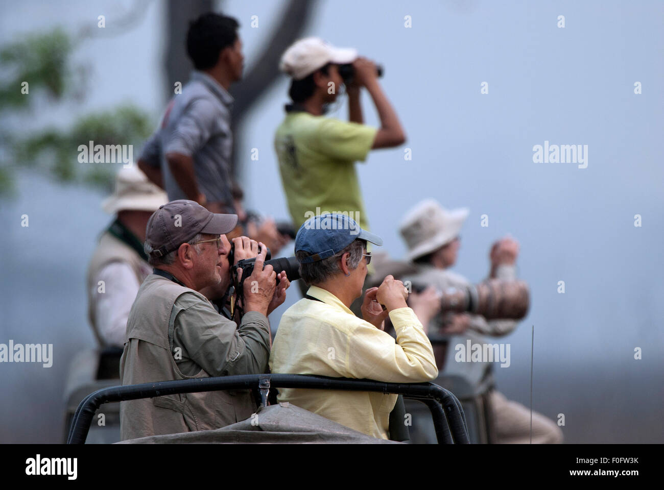 The image was shot in Kaziranga National park in India Stock Photo