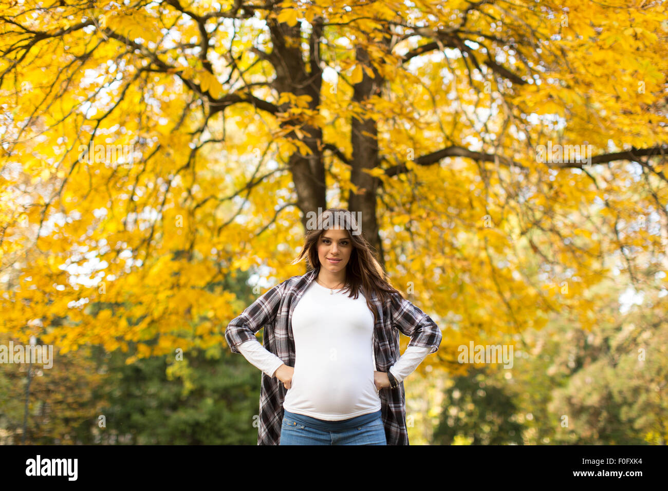 Young pregnant woman in the autumn park Stock Photo - Alamy