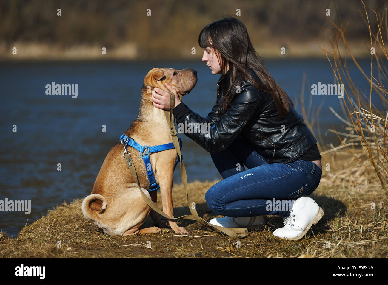 girl with dog in the park Stock Photo - Alamy