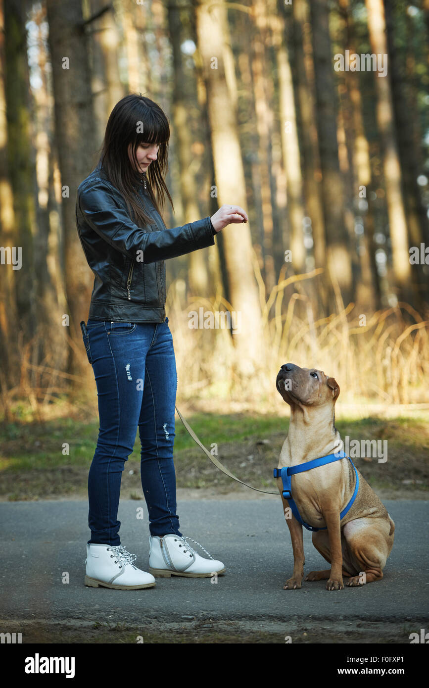girl with dog in the park Stock Photo - Alamy