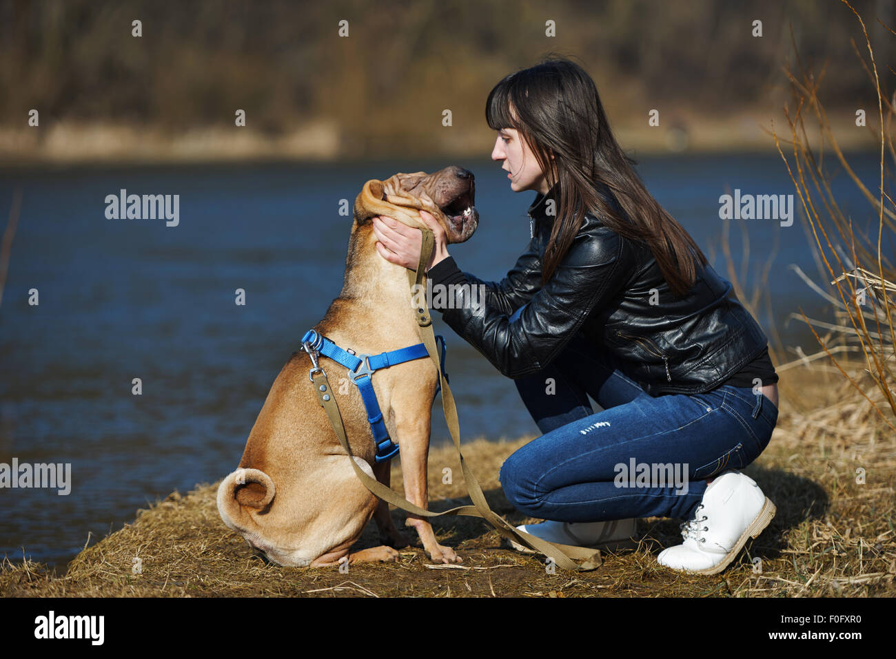 girl with dog in the park Stock Photo - Alamy