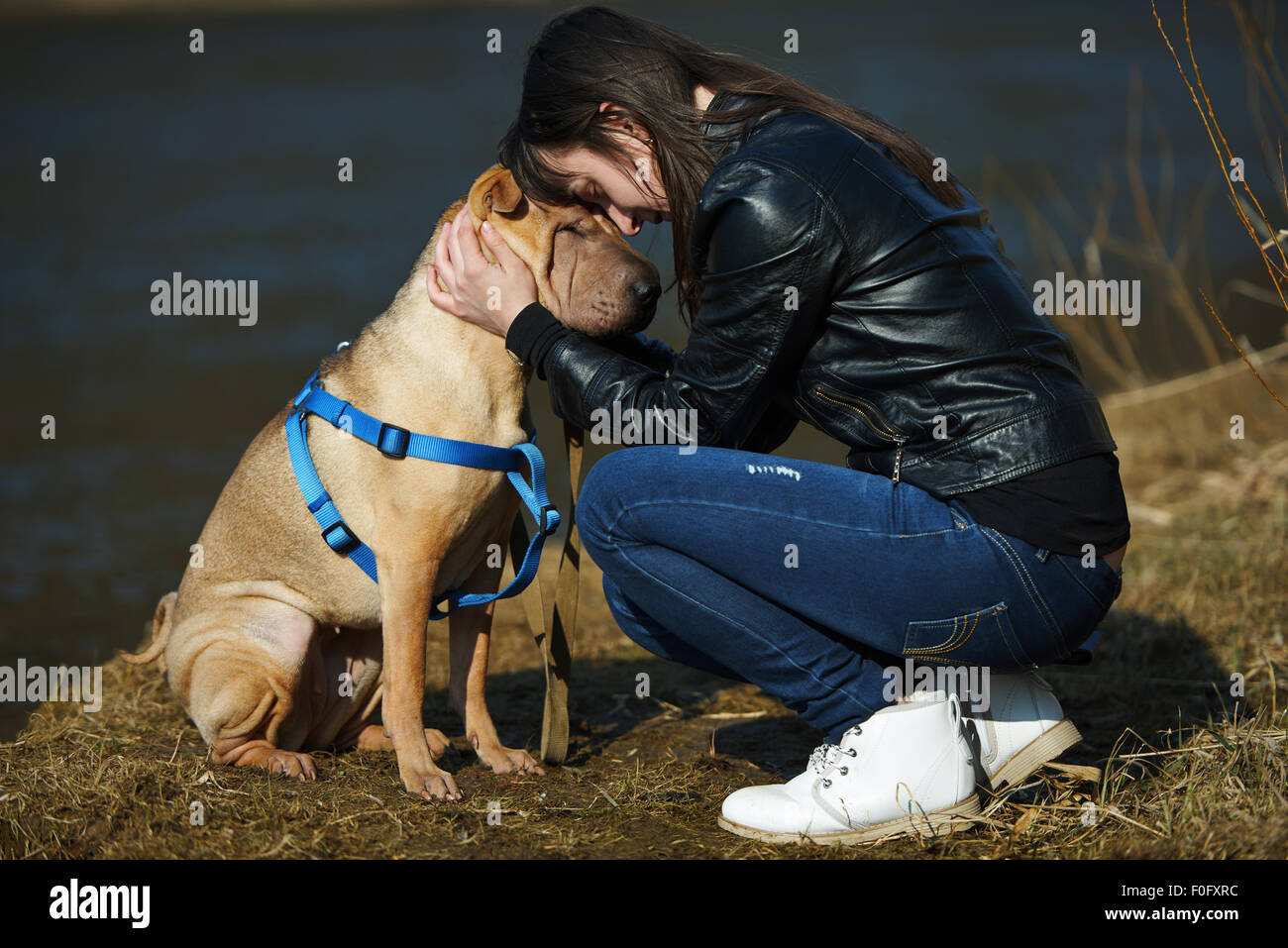 girl with dog in the park Stock Photo - Alamy
