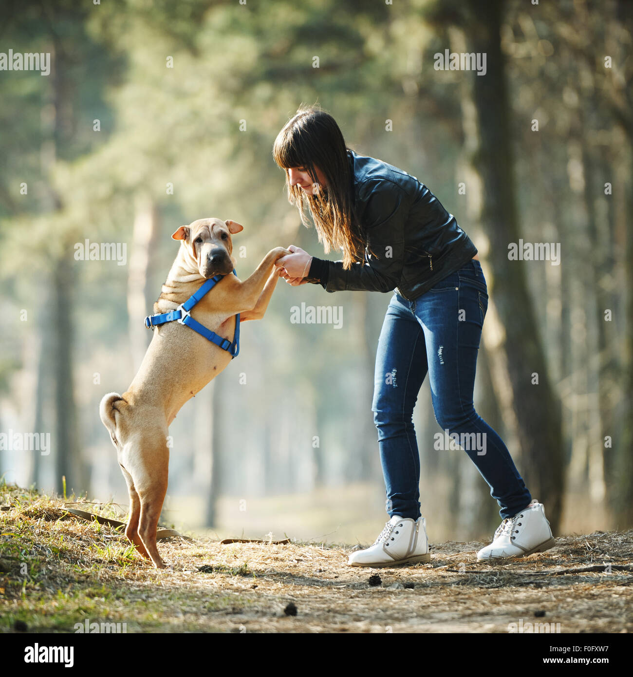 girl with dog in the park Stock Photo - Alamy