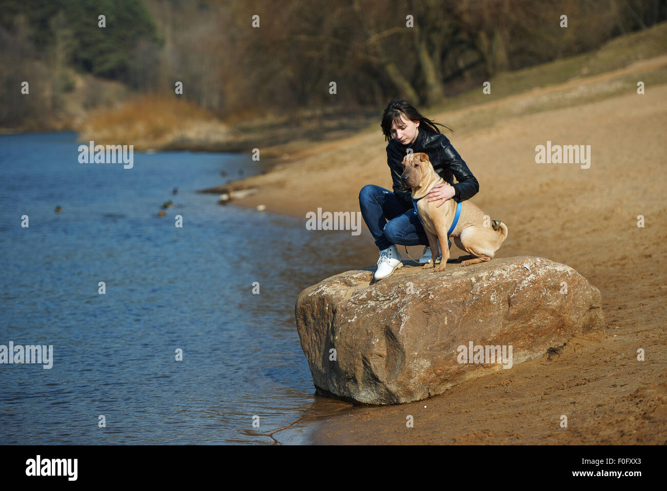 girl with dog in the park Stock Photo - Alamy
