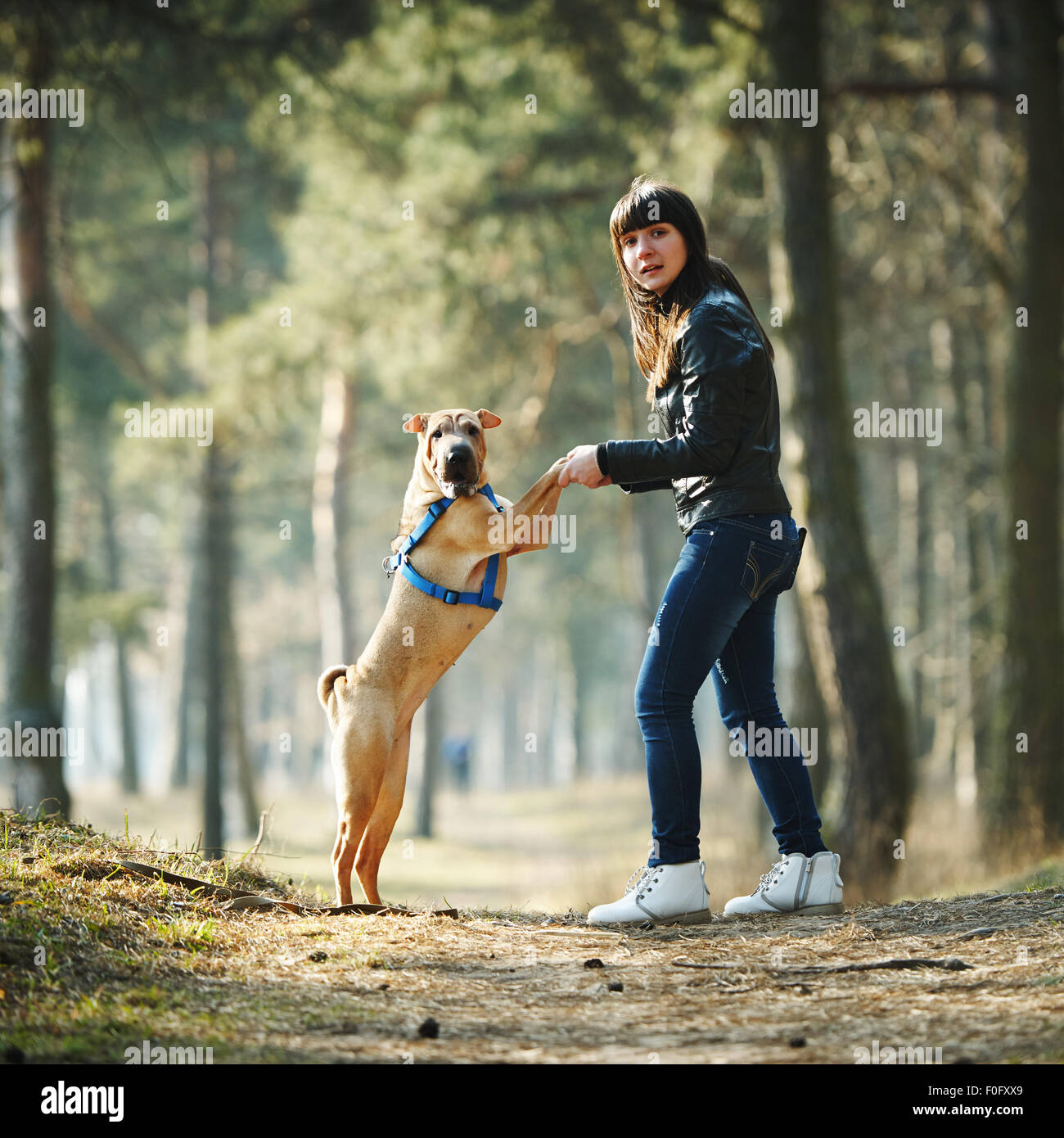 girl with dog in the park Stock Photo - Alamy