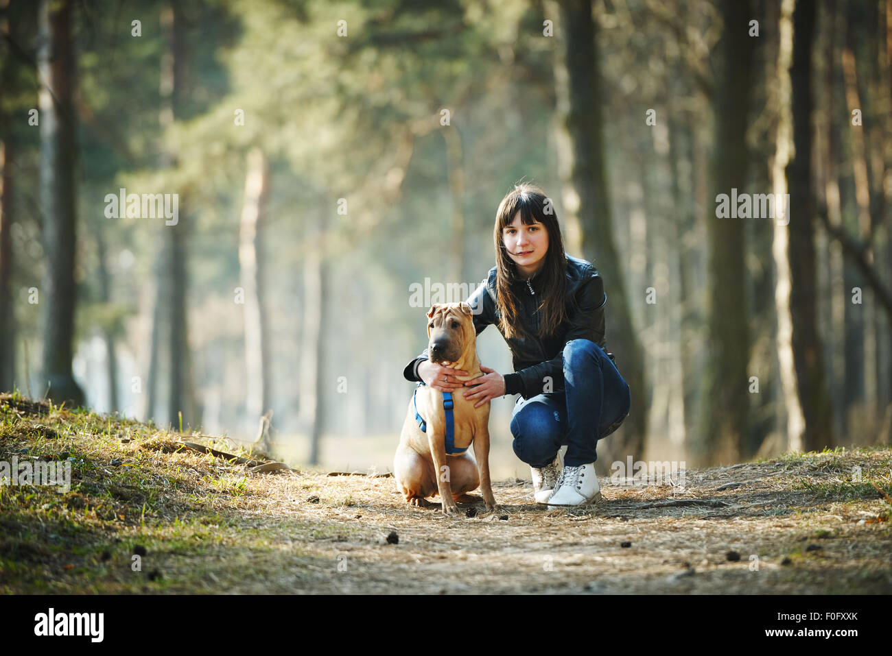 girl with dog in the park Stock Photo - Alamy