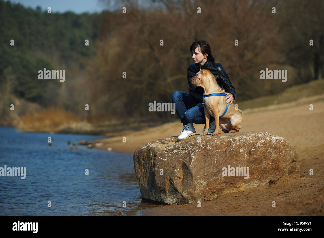 girl with dog in the park Stock Photo - Alamy