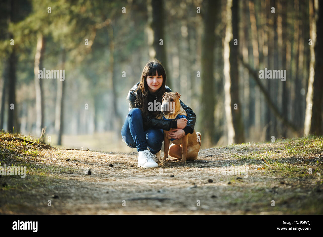 girl with dog in the park Stock Photo - Alamy